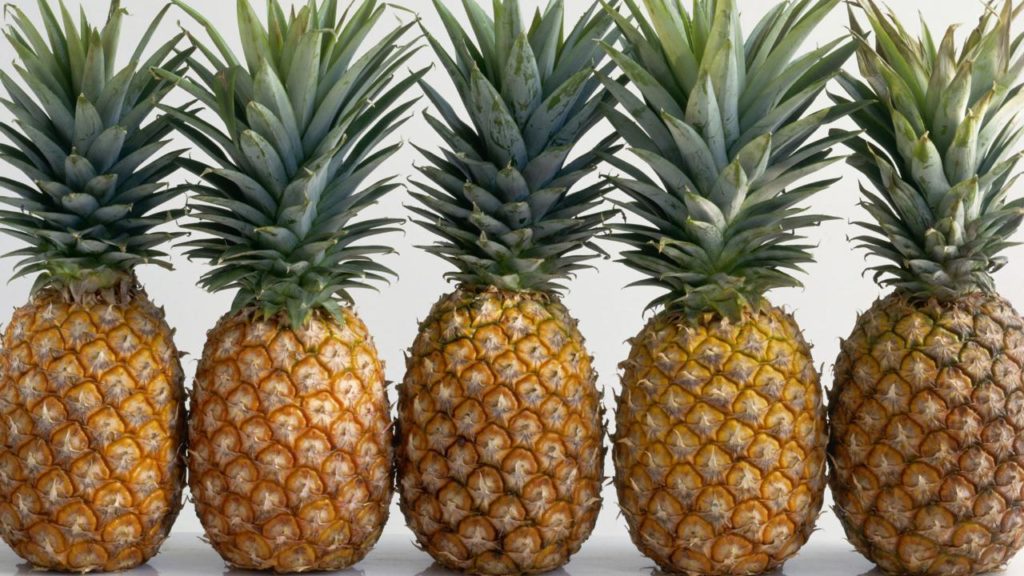 Pineapples prove teamwork makes the dream work. Along with patience and hard work, of course! 